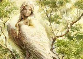 hawk3.webp