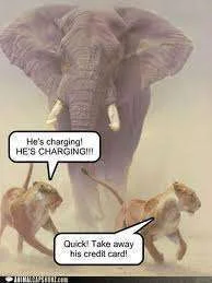 He\'s charging.webp