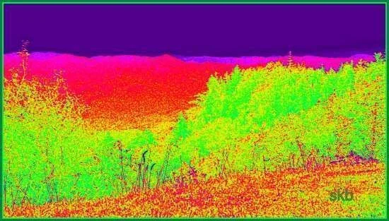 Heatmapped Above the Blue Mountains.webp