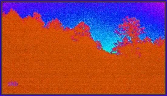 Heatmapped Nature Profile.webp