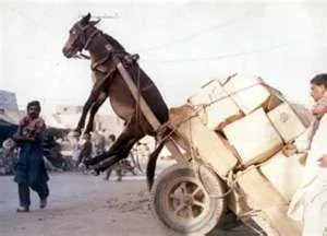 heavy load.webp