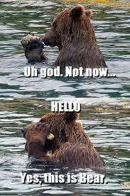 Hello this is bear.webp