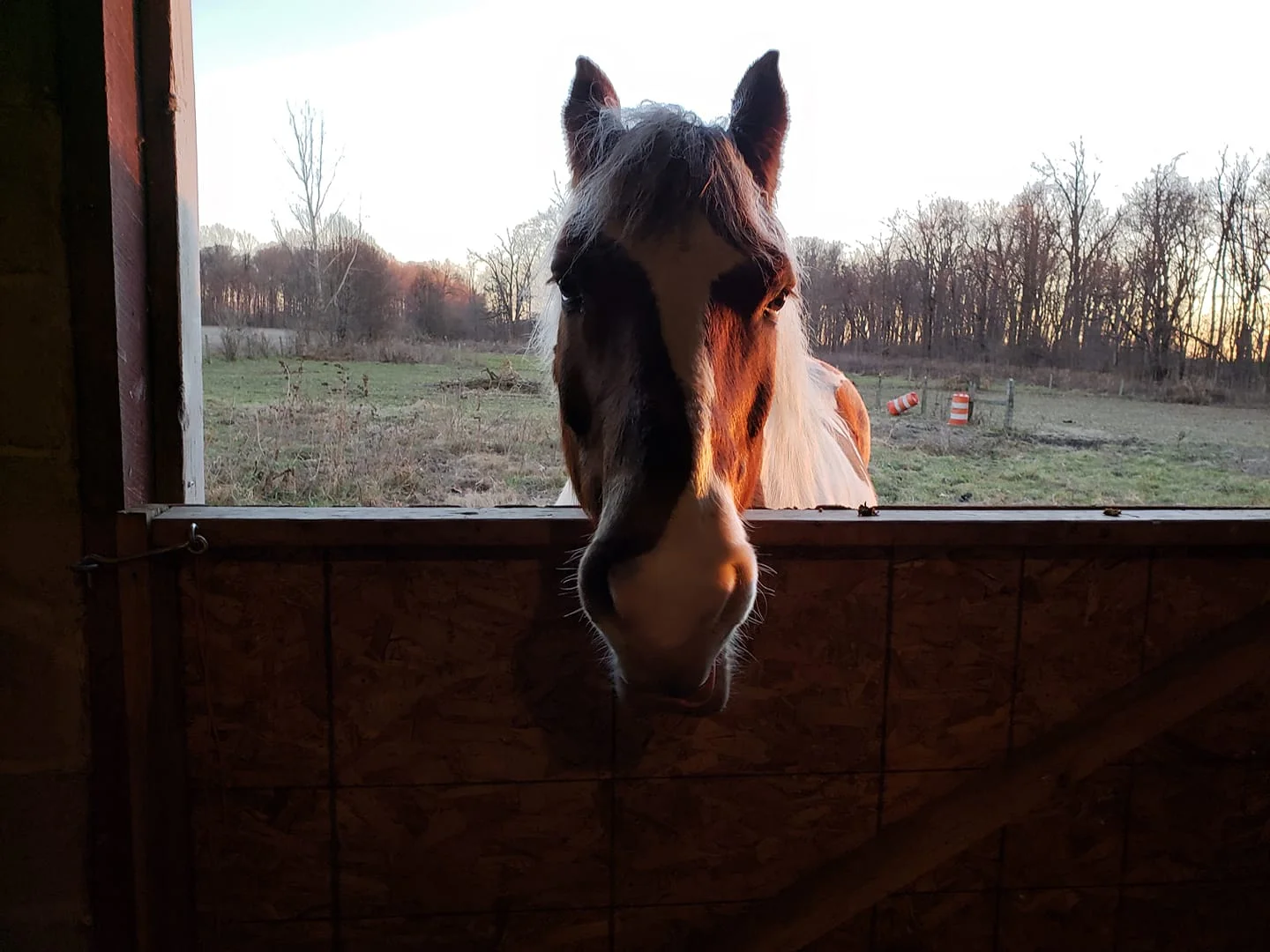 Hello.webp