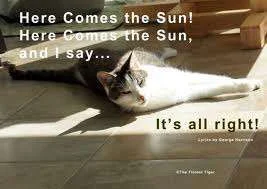 here comes the sun.webp