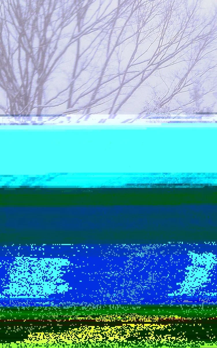 Heres to wishing for a white Christmas.webp