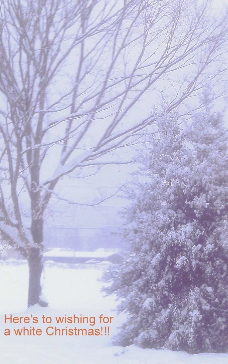 Heres to wishing for a white Christmas.webp