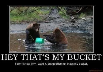 hey-thats-my-bucket-bucket-bears-demotivational-poster-1265012766.webp