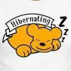 Hibernating.webp