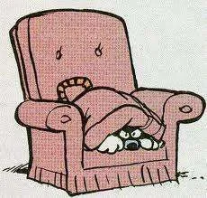 Hiding under a cushion.webp