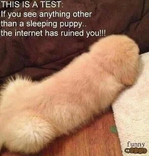 Hilarious-joke-pic-56[1].webp