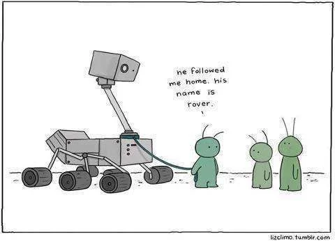 HisNameIsRover.webp