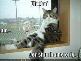 Home early.webp