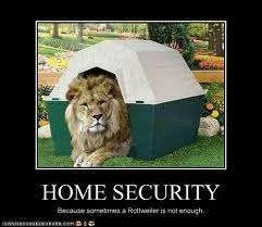Home security.webp