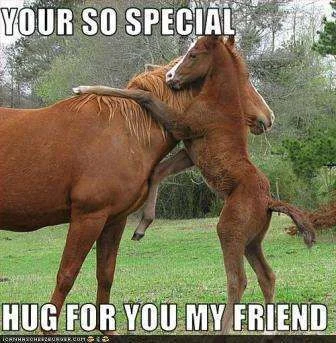 horse_hug_for_friend.webp