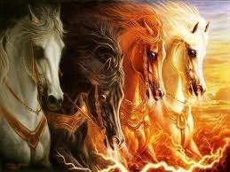 horses4.webp