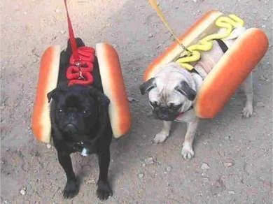 Hot Dogs.webp