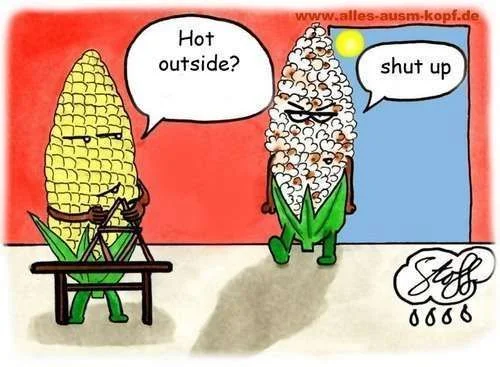 hot outside..webp
