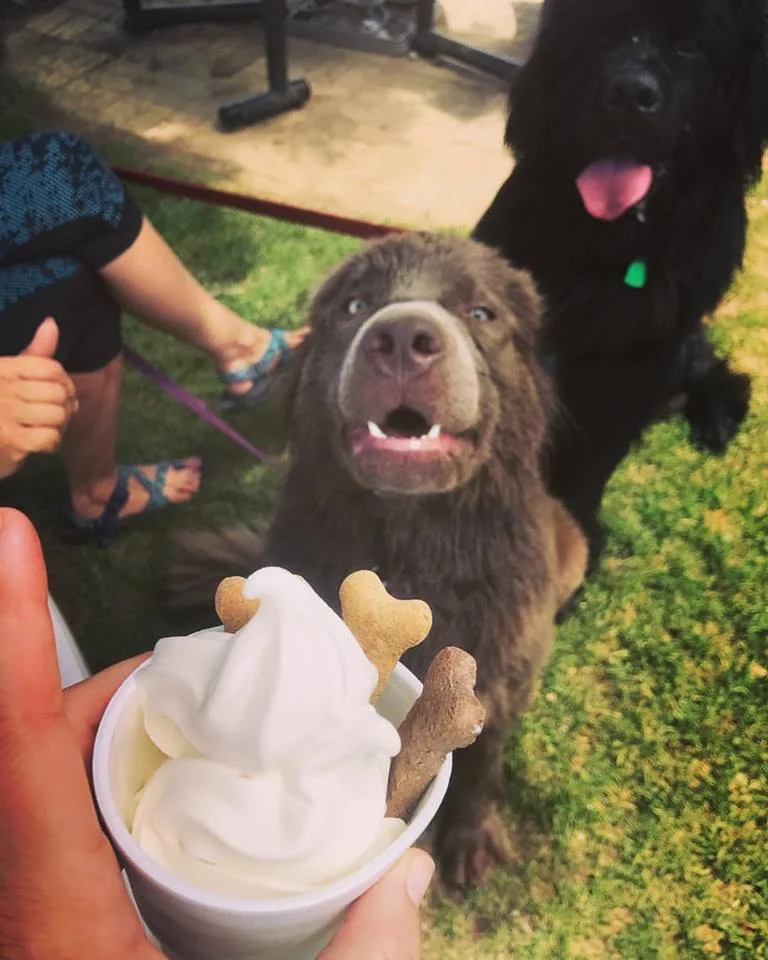 Hot Summer Day and Ice Cream.webp