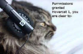 Hovercat permission.webp