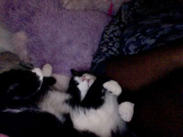 How she sleeps like this is beyond me...webp