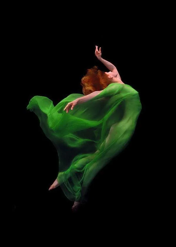 howardschatz00-1.webp