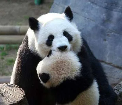 Hug from sea.webp