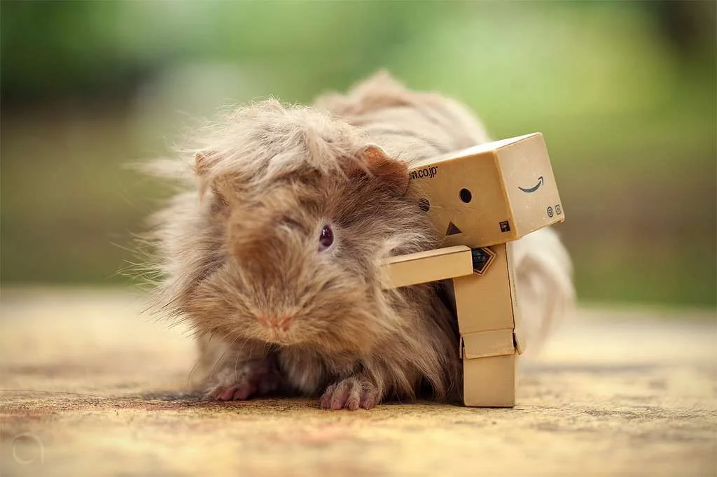 hug.webp