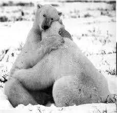 hug.webp