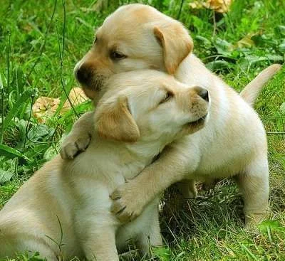 hug10.webp