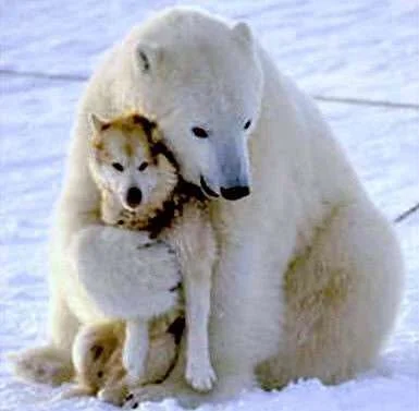 Hug3.webp