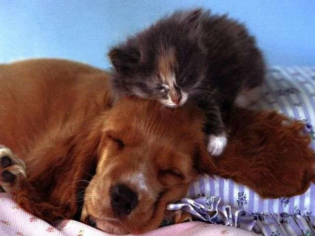 hug6.webp