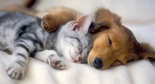 hug7.webp
