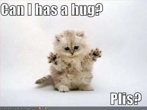 hug8.webp