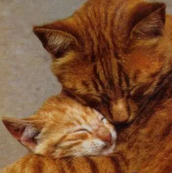 hug_a_cat.webp