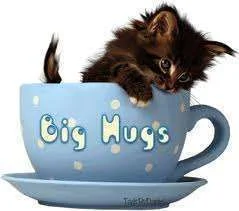 hugcup.webp
