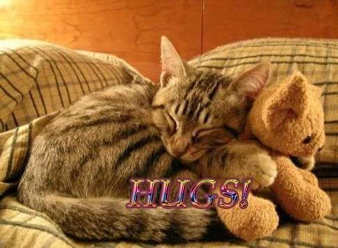 hugs-4.webp