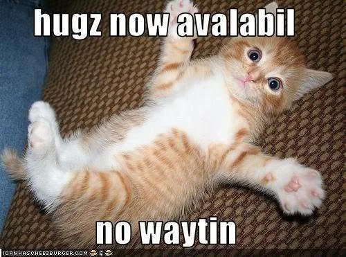hugs available.webp