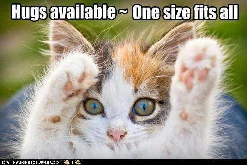 Hugs Available.webp
