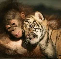 hugs.webp