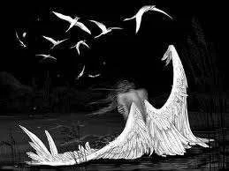 hurt angel.webp