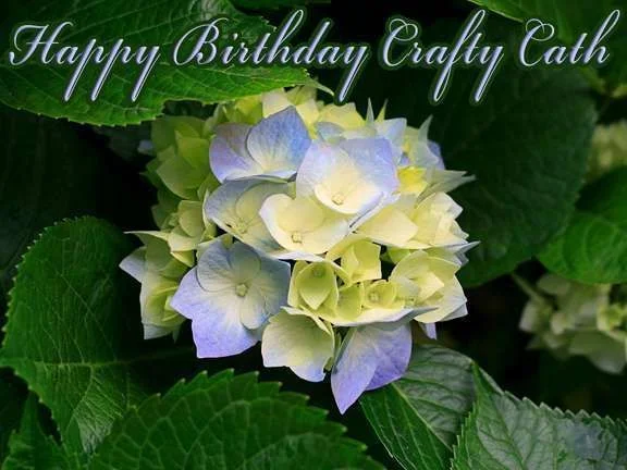 Hydrangeas.webp
