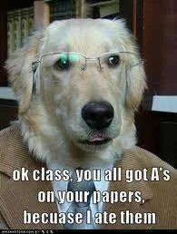 I ate you homework.webp