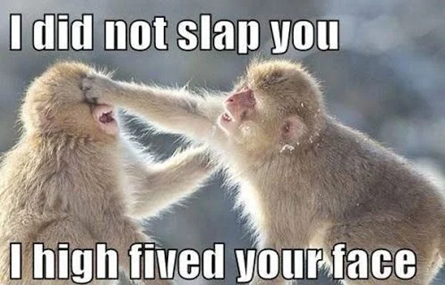 i-did-not-slap-you.webp