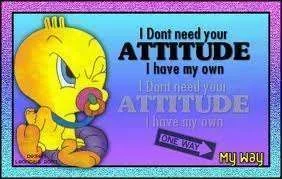 I don\'t need your attitude.webp