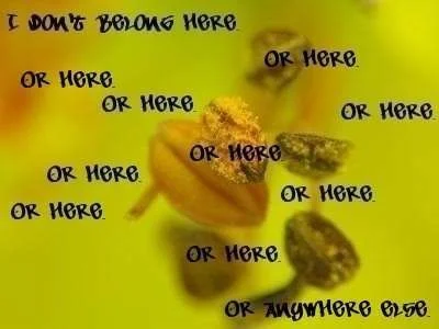 i-dont-belong-here.webp