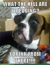 i drink from there.webp