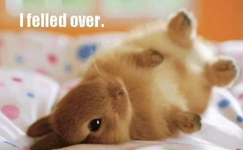 I-fell-over.webp