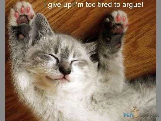 I-give-up-I-m-too-tired-to-argue.webp