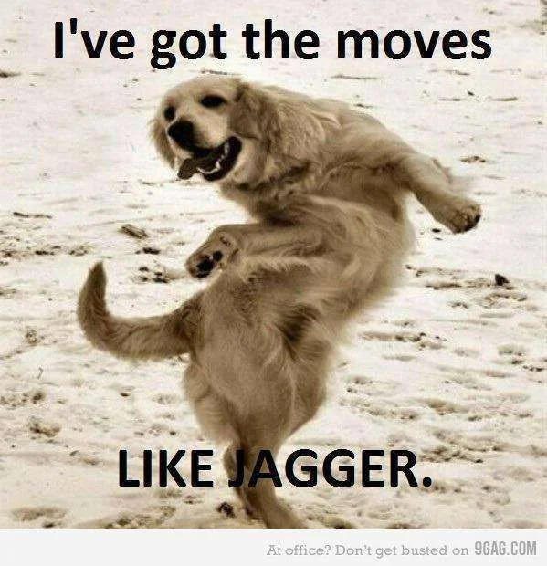 i got the moves.webp