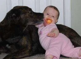 I\'ll clean you.webp